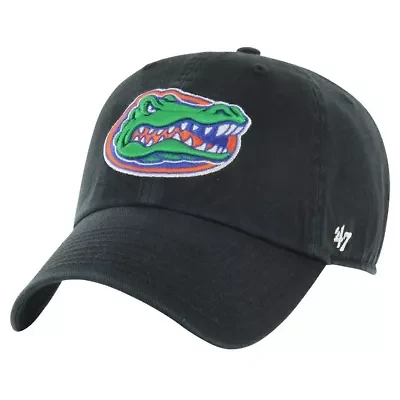 NCAA Florida Gators Vintage Clean Up Adjustable Hat