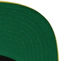 NCAA Iowa Hawkeyes Team Script 2.0 Snapback Hat