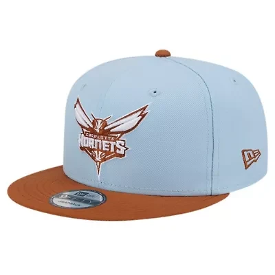 NBA Light Blue/Brown Charlotte Hornets 2-Tone Color Pack 9FIFTY Snapback Hat