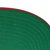 NHL Detroit Wings Core Team Ground 2.0 Snapback Hat