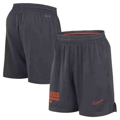 NCAA Nike Clemson Tigers 2024 Sideline Performance Mesh Shorts