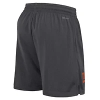 NCAA Nike Clemson Tigers 2024 Sideline Performance Mesh Shorts