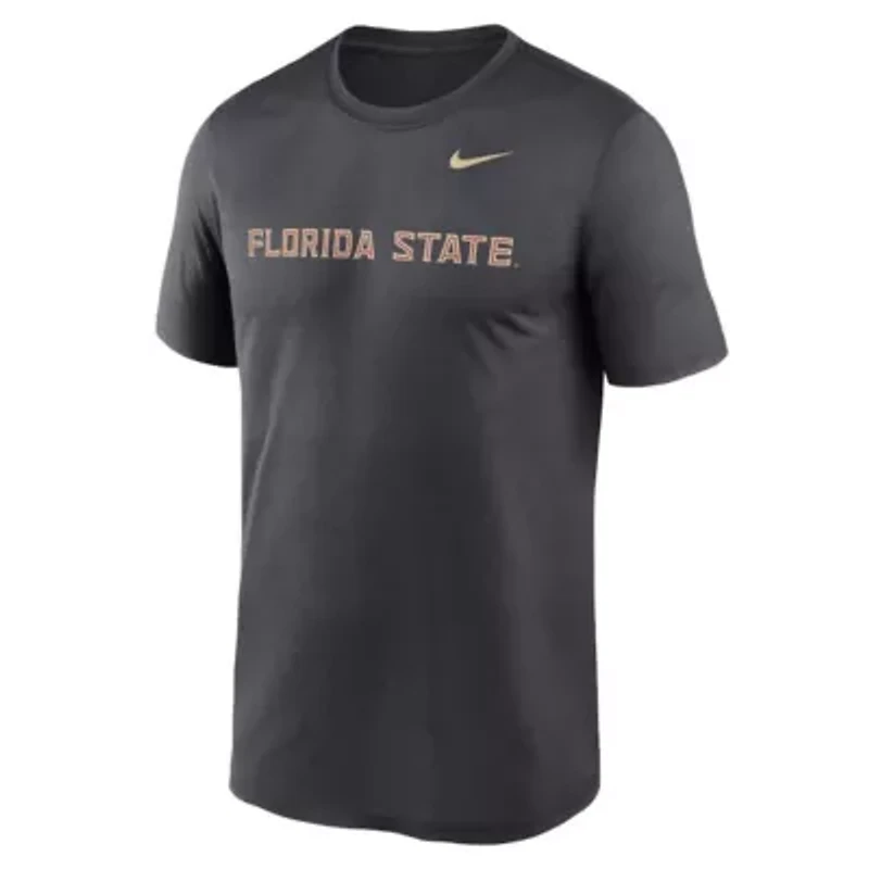 NCAA Nike Florida State Seminoles Primetime Legend Wordmark T-Shirt