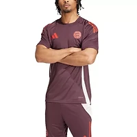 Bundesliga Bayern Munich 2024/25 AEROREADY Training Jersey