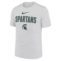 NCAA Nike Michigan State Spartans Campus Slant Velocity Performance T-Shirt