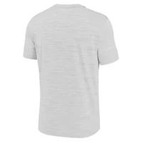 NCAA Nike Kentucky Wildcats Campus Slant Velocity Performance T-Shirt