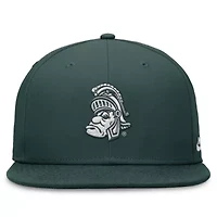 NCAA Nike Michigan State Spartans Legacy True Fitted Hat