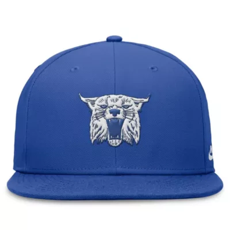 NCAA Nike Kentucky Wildcats Legacy True Fitted Hat