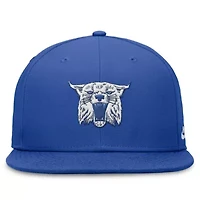 NCAA Nike Kentucky Wildcats Legacy True Fitted Hat