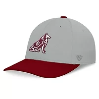 NCAA Gray/Maroon Texas A&M Aggies Mick Flex Hat