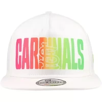 MLB St. Louis Cardinals Spring Spectrum Golfer Snapback Hat