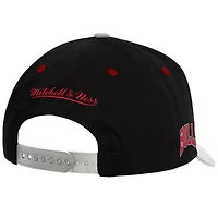 NBA Black/Gray Chicago Bulls Pro Crown Adjustable Hat