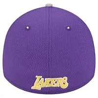 NBA Gray/Purple Los Angeles Lakers Active Trim 39THIRTY Flex Hat