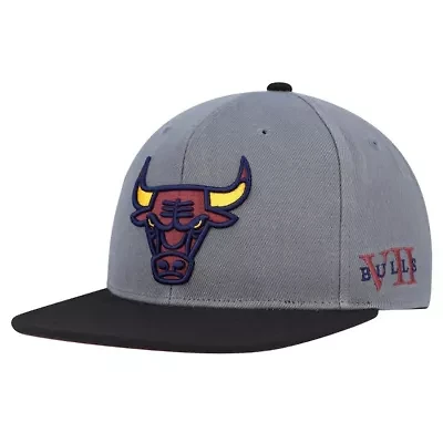 NBA Gray/Black Chicago Bulls Core Snapback Hat