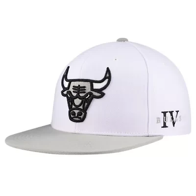 NBA Chicago Bulls Core Snapback Hat