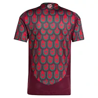 Soccer National Teams Mexico Team 2024 Home Authentic Jersey