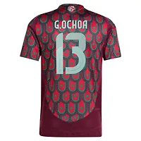 Soccer National Teams Guillermo Ochoa Mexico Team 2024 Home Authentic Player Jersey
