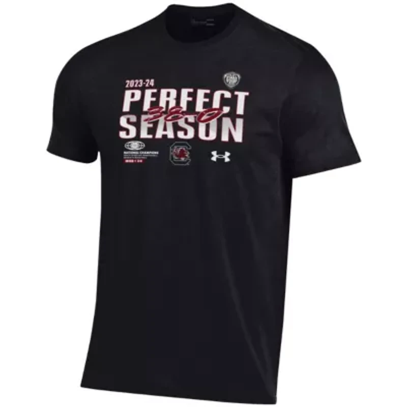 NCAA Under Armour South Carolina Gamecocks 2024 Basketball National s Perfect Season T-Shirt