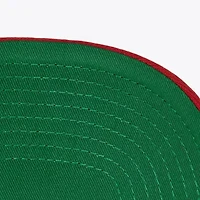 NBA Chicago Bulls All In 2.0 Pro Crown Snapback Hat