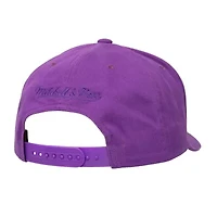 NBA Phoenix Suns Washed Out Tonal Logo Snapback Hat