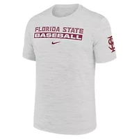 NCAA Nike Florida State Seminoles Velocity Baseball Wordmark Stack Dri-FIT T-Shirt