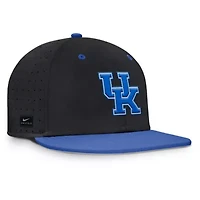 NCAA Nike Kentucky Wildcats On-Field Dugout True Performance Fitted Hat