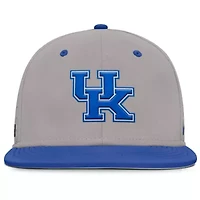 NCAA Nike Kentucky Wildcats On-Field Dugout True Performance Fitted Hat