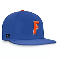 NCAA Nike Florida Gators Dugout True Dri-FIT Fitted Hat