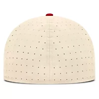 NCAA Nike Georgia Bulldogs Dugout True Dri-FIT Fitted Hat
