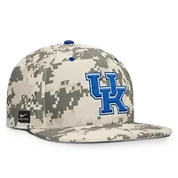 NCAA Nike Digital Kentucky Wildcats 2025 Dugout True Performance Fitted Hat
