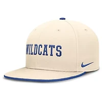 NCAA Nike Kentucky Wildcats Primetime True Performance Fitted Hat