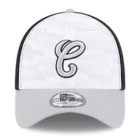 Chicago White Sox MLB Black/Gray 2025 Clubhouse 39THIRTY Flex Hat