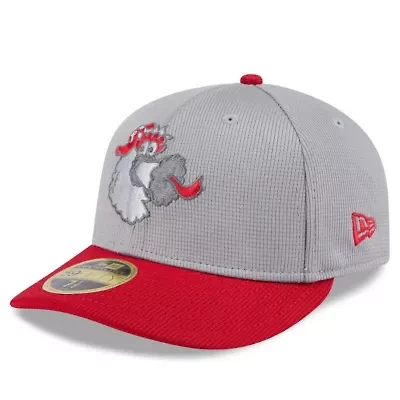 MLB Gray/Red Philadelphia Phillies 2025 Batting Practice Low 59FIFTY Fitted Hat