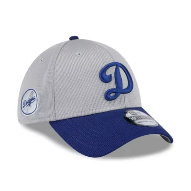 MLB Gray/Royal Los Angeles Dodgers 2025 Batting Practice 39THIRTY Flex Hat