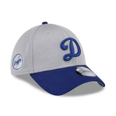 MLB Gray/Royal Los Angeles Dodgers 2025 Batting Practice 39THIRTY Flex Hat
