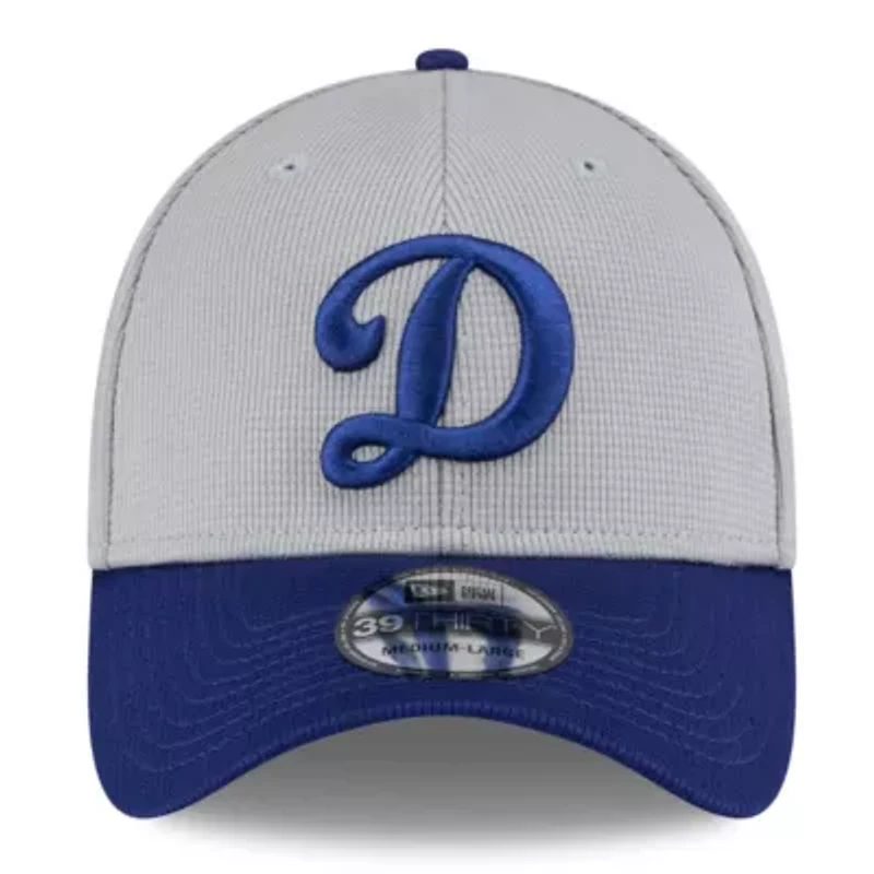 MLB Gray/Royal Los Angeles Dodgers 2025 Batting Practice 39THIRTY Flex Hat
