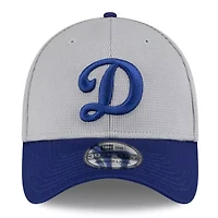 MLB Gray/Royal Los Angeles Dodgers 2025 Batting Practice 39THIRTY Flex Hat