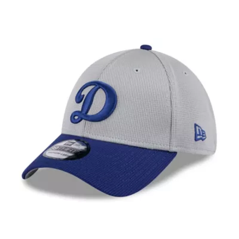 MLB Gray/Royal Los Angeles Dodgers 2025 Batting Practice 39THIRTY Flex Hat