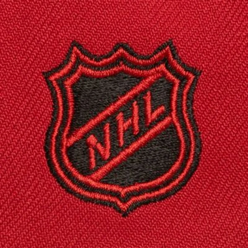 NHL Detroit Wings Soul Triple Up Snapback Hat