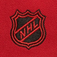NHL Detroit Wings Soul Triple Up Snapback Hat