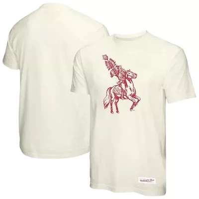 NCAA Florida State Seminoles Vintage Tone T-Shirt