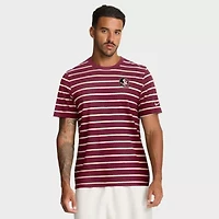 NCAA Nike Florida State Seminoles Athletic Prep Legacy Summit Stripe T-Shirt