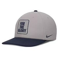 NCAA Nike Gray/Navy Penn State Nittany Lions 2025 Sideline Campus Pro Local Snapback Hat