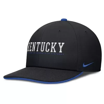 NCAA Nike Kentucky Wildcats 2025 On-Field Pro Performance Adjustable Hat