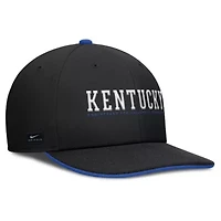 NCAA Nike Kentucky Wildcats 2025 On-Field Pro Performance Adjustable Hat