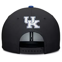 NCAA Nike Kentucky Wildcats 2025 On-Field Pro Performance Adjustable Hat