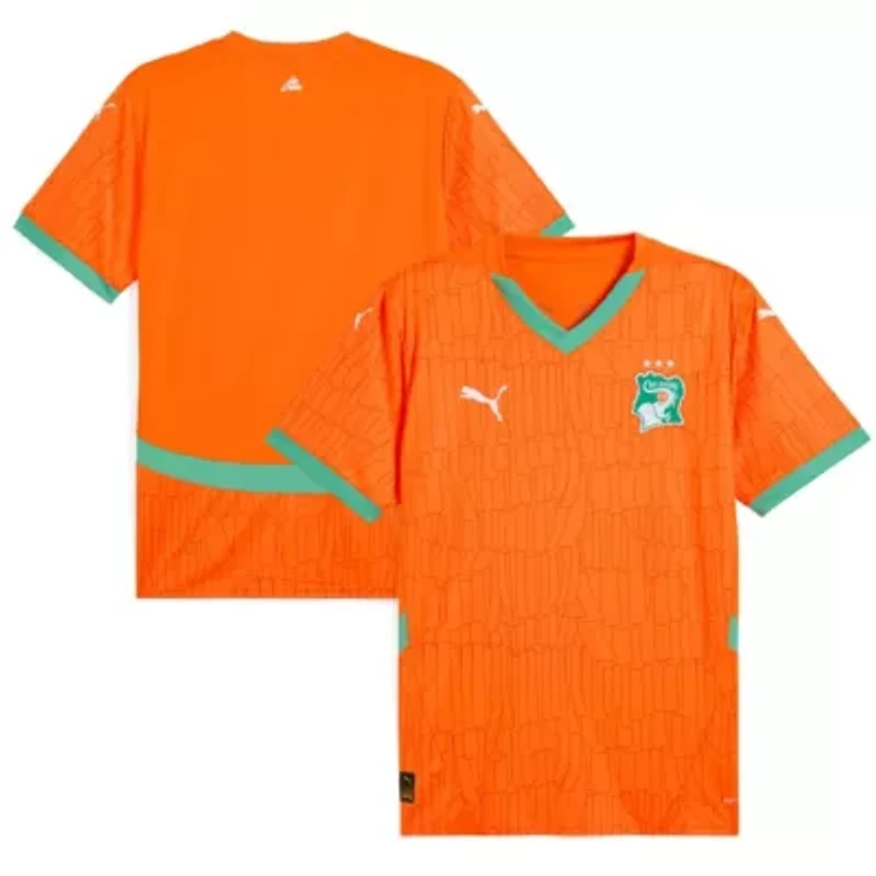 Soccer National Teams Ivory Coast Team 2025 Home Replica Jersey