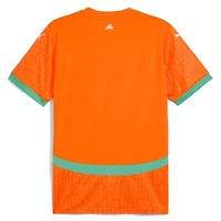 Soccer National Teams Ivory Coast Team 2025 Home Replica Jersey