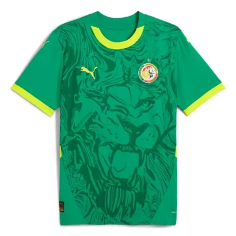 Soccer National Teams Senegal Team 2025 Away Replica Jersey