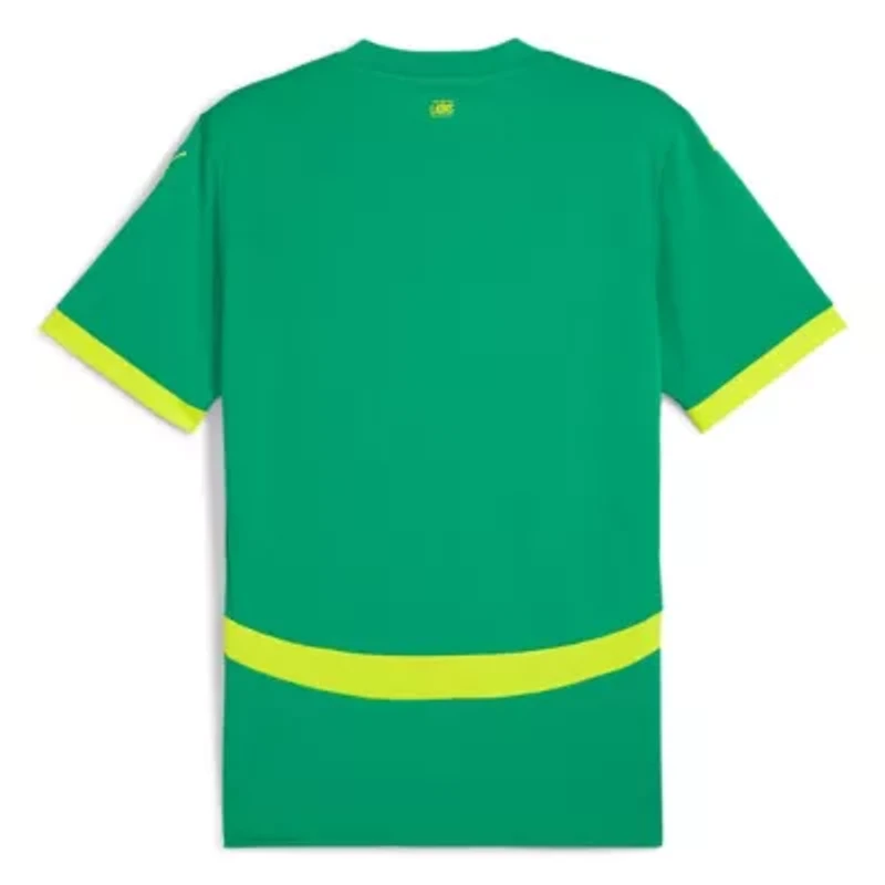 Soccer National Teams Senegal Team 2025 Away Replica Jersey